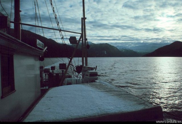 Cordula's Web. NOAA. NOAA Ship MURRE II.