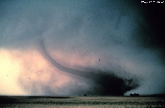 Cordula's Web. NOAA. Tornado near Cordell, Oklahoma.