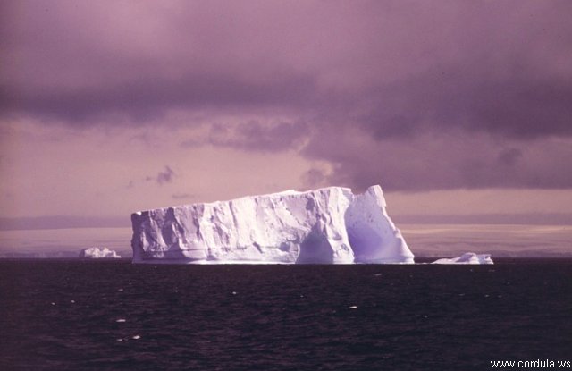 Cordula's Web. NOAA. Tabular Iceberg, Elephant Island.