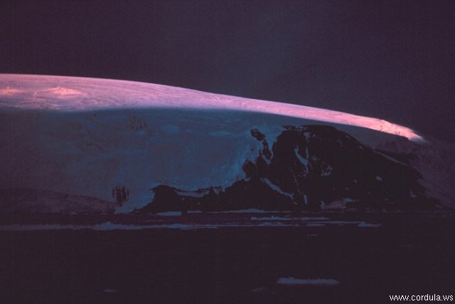 Cordula's Web. NOAA. Nansen Island.