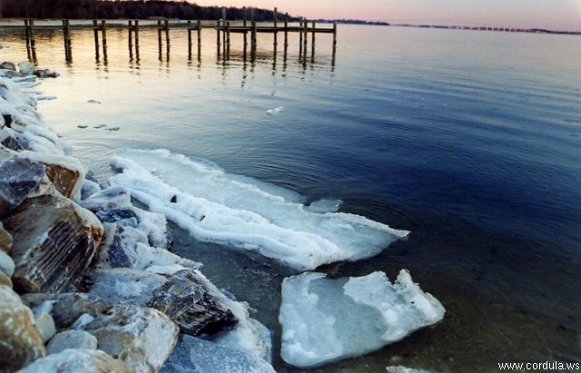 Cordula's Web. NOAA. Ice on the Lower Patuxent River, Maryland.