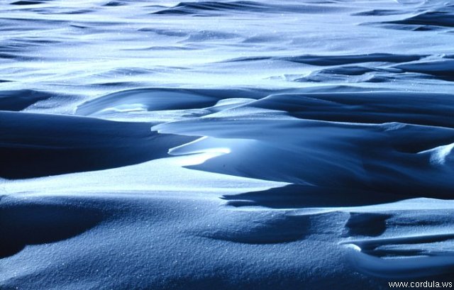 Cordula's Web. NOAA. Sastrugi. Empty Snow Desert. Antarctica, South Pole Station.