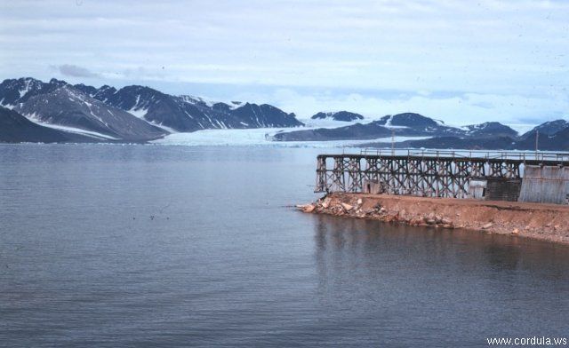 Cordula's Web. NOAA. Ny Alesund, Svalbard, Norway.
