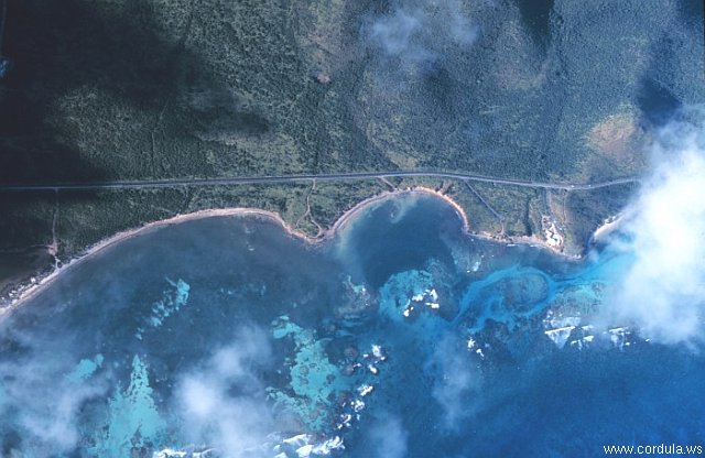 Cordula's Web. NOAA. St. Croix, United States Virgin Islands.