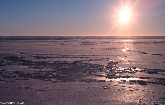 Cordula's Web. NOAA. Frozen Ross Sea, Antarctica.