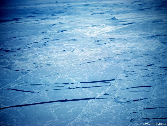 Cordula's Web. NOAA. Cracks in sea ice as seen from the air.