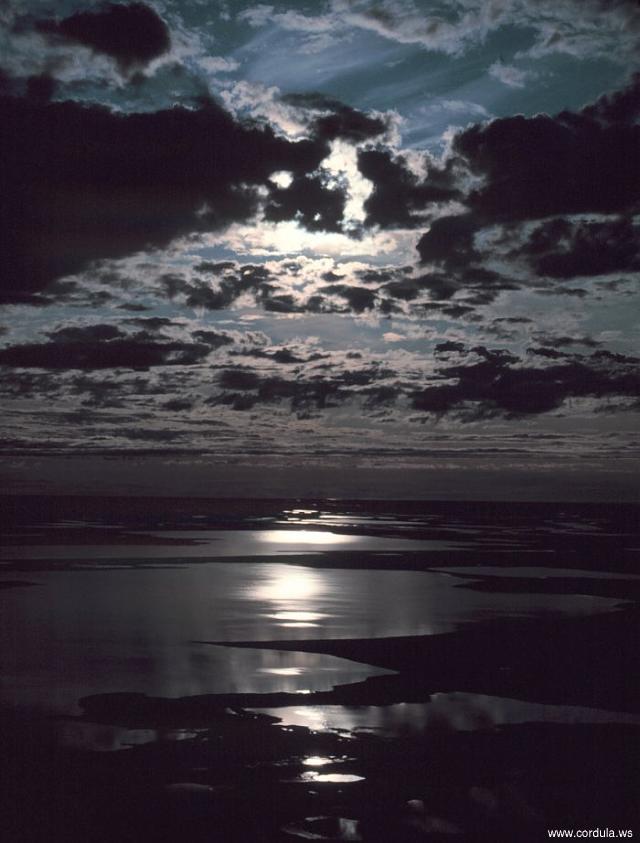 Cordula's Web. NOAA. Moonbeams reflecting off the Beaufort Sea, Alaska.