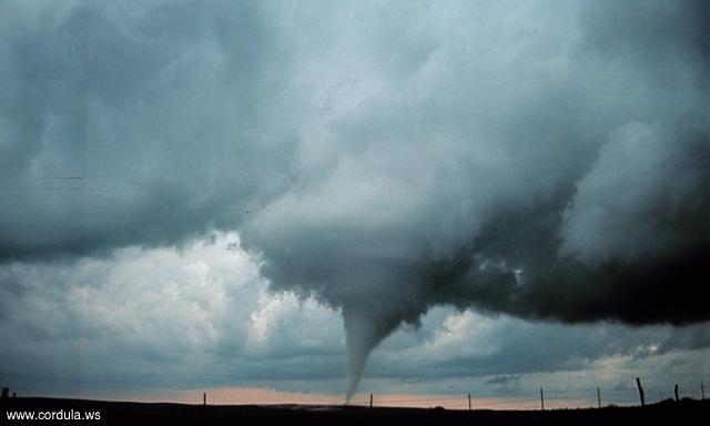 Cordula's Web. NOAA. Occluded mesocyclone tornado.