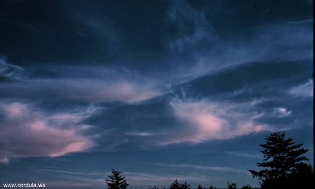 Cordula's Web. NOAA. Cirrus Clouds.