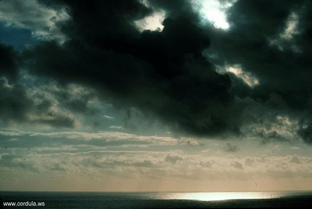 Cordula's Web. NOAA. Late afternoon sun reflecting on the Pacific.