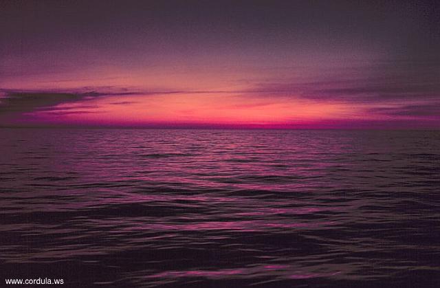 Cordula's Web. NOAA. Pacific Sunset.