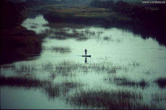 Cordula's Web. ONMT. Fisherman on the Oued Massa, near Agadir.