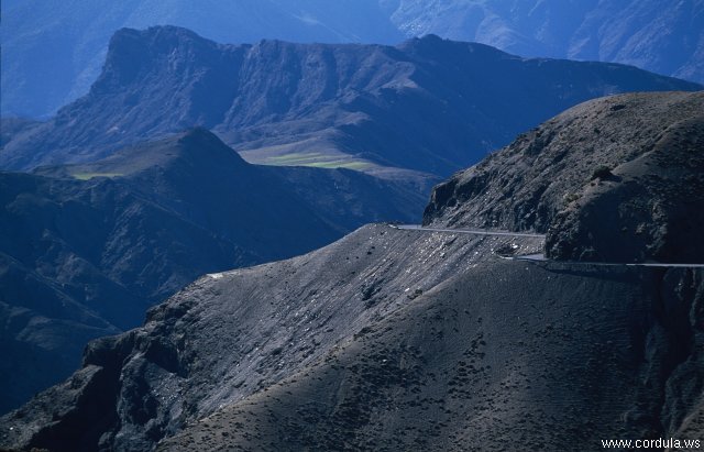 Cordula's Web. ONMT. Tichka Street, High Atlas, Morocco.