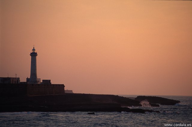 Cordula's Web. ONMT. Phare de Rabat, Morocco.