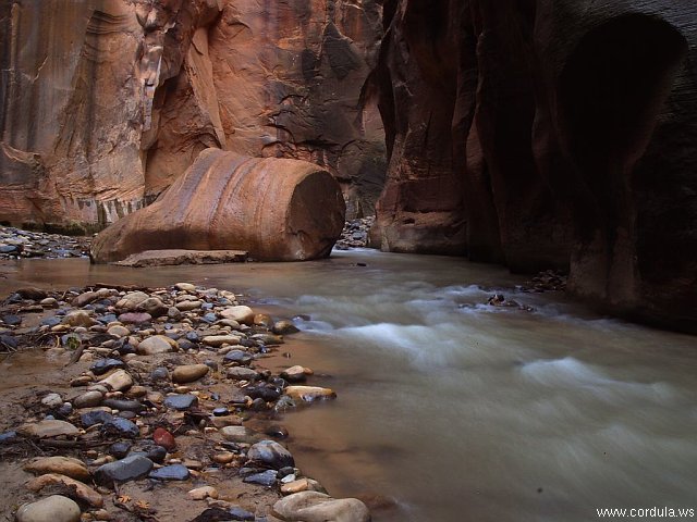 Cordula's Web. PDPHOTO.ORG. Zion Narrows.