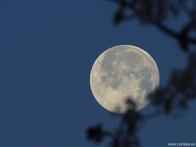 Cordula's Web. PDPHOTO.ORG. Winter Moon.