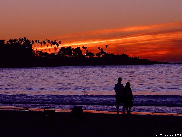 Cordula's Web. PDPHOTO.ORG. Sunet in La Jolla.