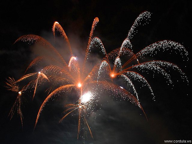 Cordula's Web. PDPHOTO.ORG. Fireworks New Year 2002.