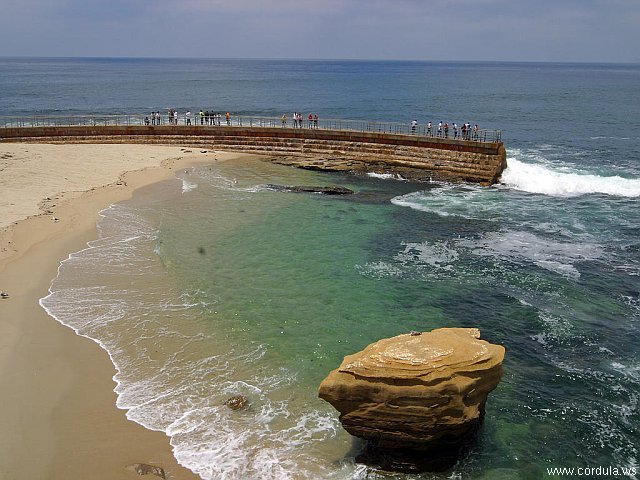 Cordula's Web. PDPHOTO.ORG. Seal Beach, La Jolla Cove.