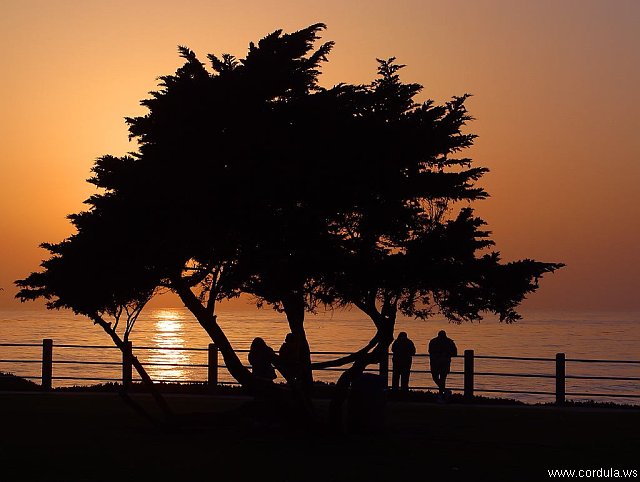 Cordula's Web. PDPHOTO.ORG. Sunset at La Jolla.