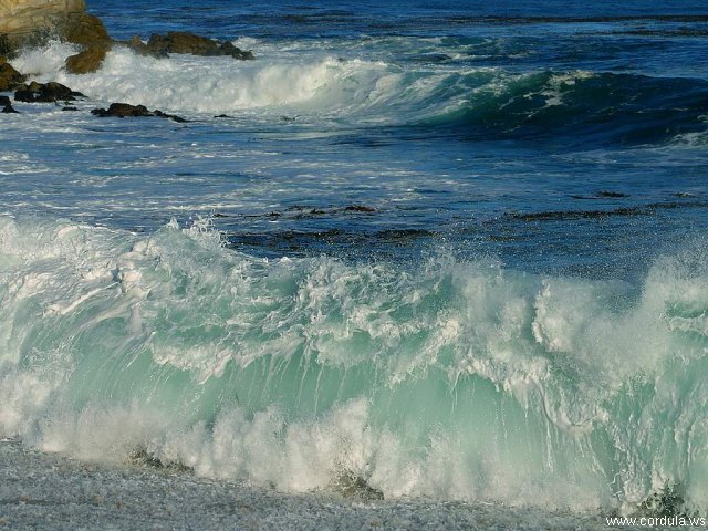 Cordula's Web. PDPHOTO.ORG. Big Waves, Big Sur.