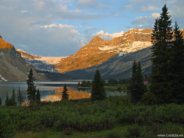 Cordula's Web. PDPHOTO.ORG. Jasper National Park.