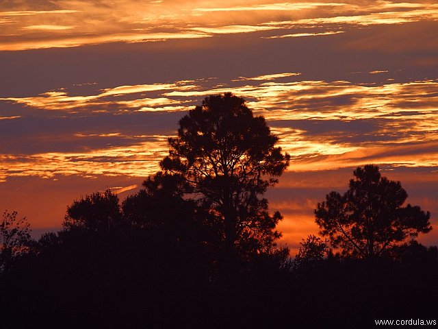 Cordula's Web. PDPHOTO.ORG. Sunrise in Louisiana.