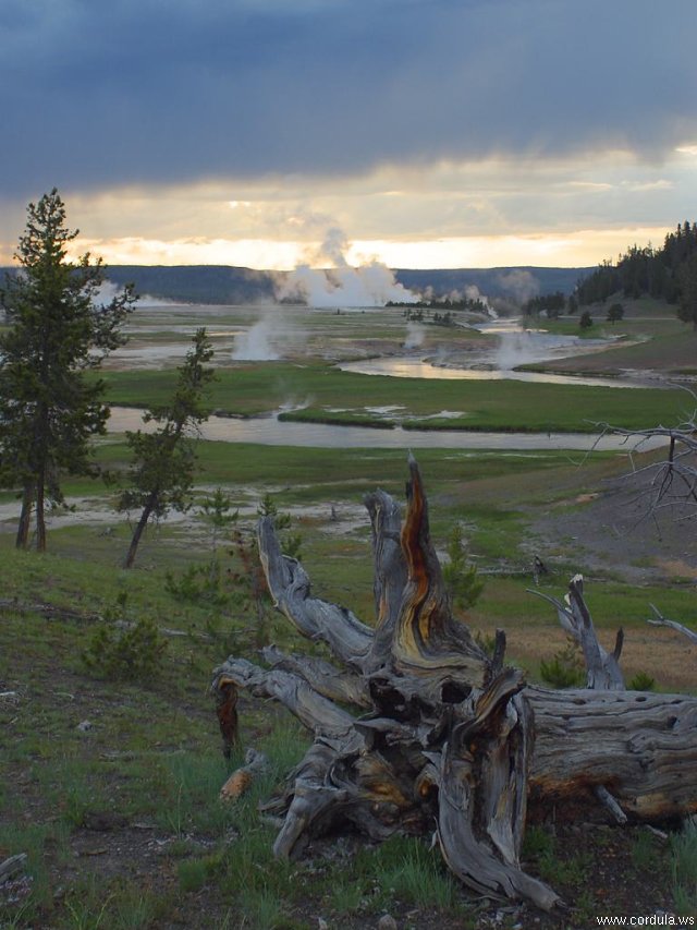 Cordula's Web. PDPHOTO.ORG. Yellowstone.