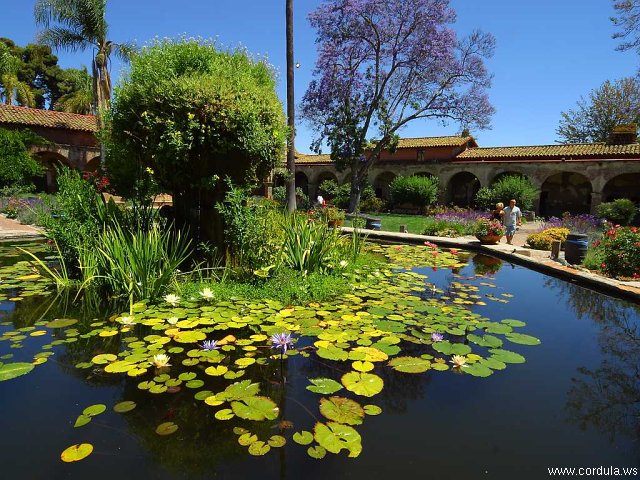 Cordula's Web. PDPHOTO.ORG. Lily Pond at Mission San Juan Capistrano.