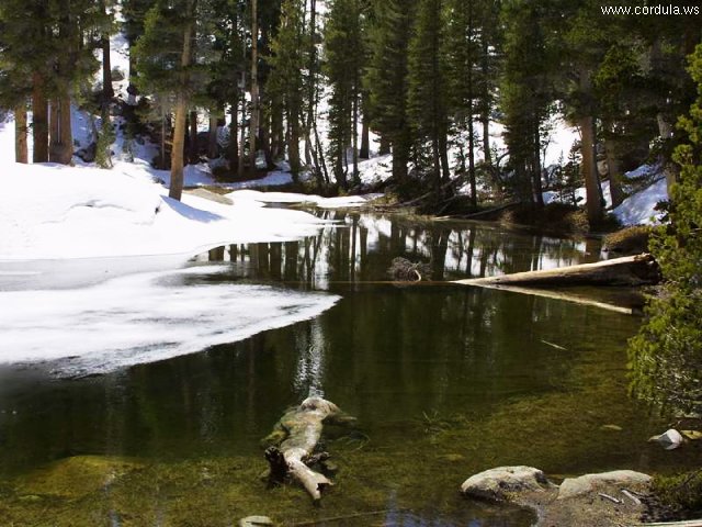 Cordula's Web. PDPHOTO.ORG. Snowy Lake.