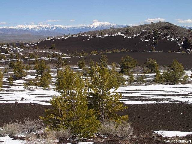 Cordula's Web. PDPHOTO.ORG. Lava and Snow.