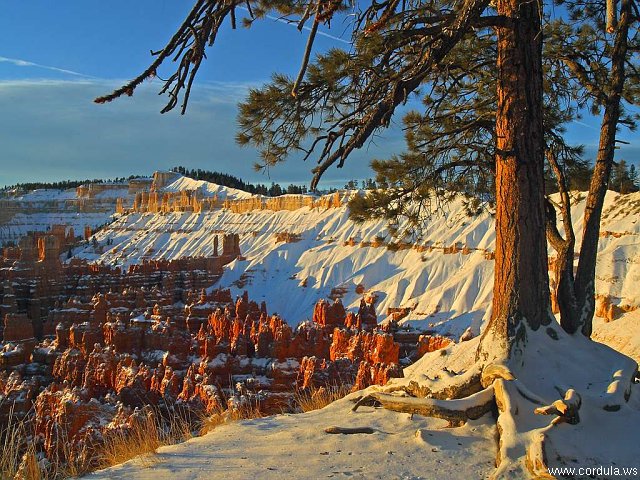 Cordula's Web. PDPHOTO.ORG. Bryce Canyon, Utah.