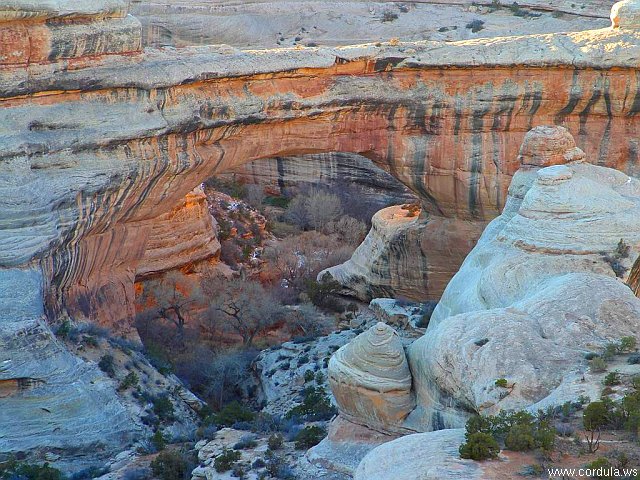 Cordula's Web. PDPHOTO.ORG. Sipapu Bridge at Natural Bridges National Monument, Utah.