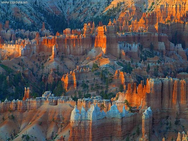 Cordula's Web. PDPHOTO.ORG. Bryce Canyon Sunrise, Utah.