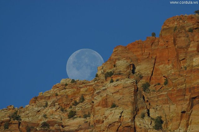 Cordula's Web. PDPHOTO.ORG. Moonrise over the cliffs in Zion.