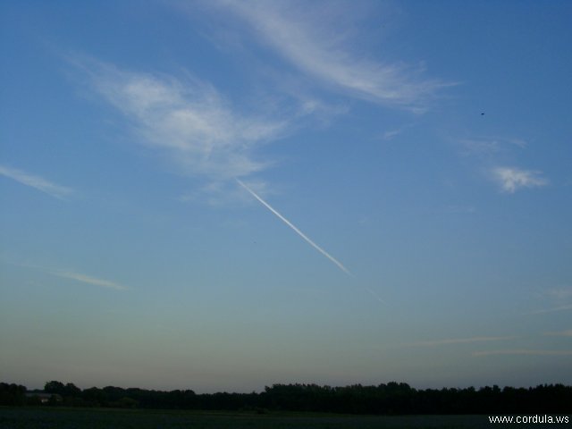 Cordula's Web. Evening Sky over Kaarst.