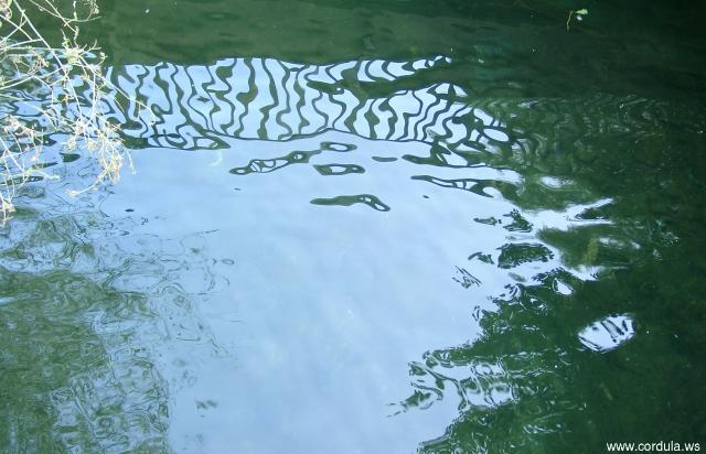 Cordula's Web. Bridge Reflection in the Water. Kaarst Lake.