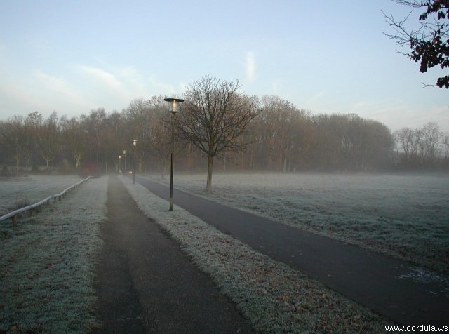 Cordula's Web. Wikicommons. Morning fog in eastern Jutland.