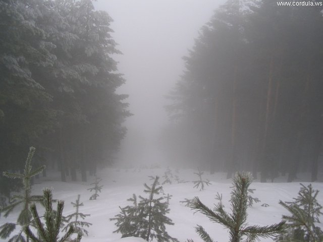 Cordula's Web. Wikicommons. Winter fog in the Sierra de Guadarrama, Spain.