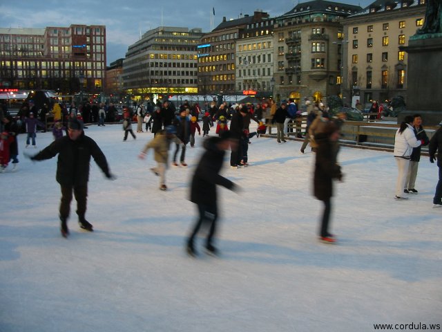 Cordula's Web. Wikicommons. Stockholm Ice Skaters. Tom Corser.