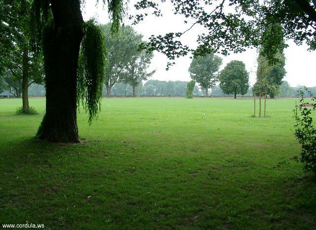 Cordula's Web. Weeping Willow, Japanese