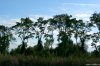 Cordula's Web. African Landscape.