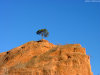 Cordula's Web. Flickr. Alone at the top. Colorado Springs.