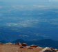 Cordula's Web. Flickr. Colorado Springs seen from Pikes Peak.