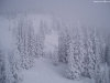 Cordula's Web. Flickr. Blizzard, Steamboat Springs, Colorado.