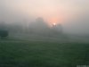 Cordula's Web. grey_mare. Foggy Sunrise.