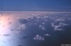 Cordula's Web. NOAA. Tropical popcorn cumulus at sunset, St. Croix, United States Virgin Islands.