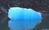 Cordula's Web. NOAA. Blue Iceberg, Tracy Arm Fjord.