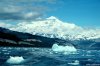 Cordula's Web. NOAA. Mount St. Elias, South Central Alaska, Icy Bay.