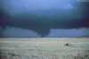 Cordula's Web. NOAA. The Mayfield Tornado.